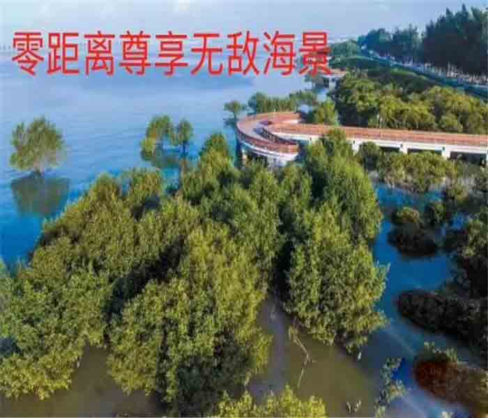 固戍小產權房:西灣名苑