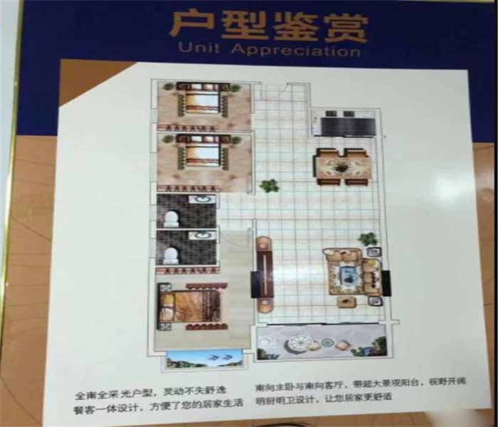 樟木頭小產權房:荔園新城