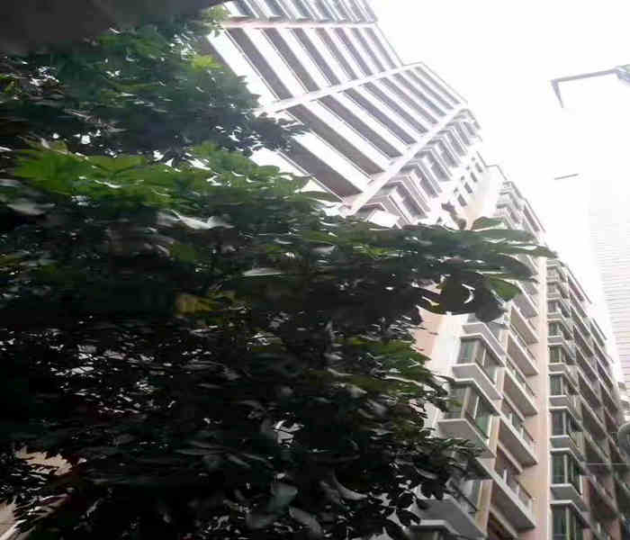 公明小產(chǎn)權(quán)房新樓盤:馬田大廈