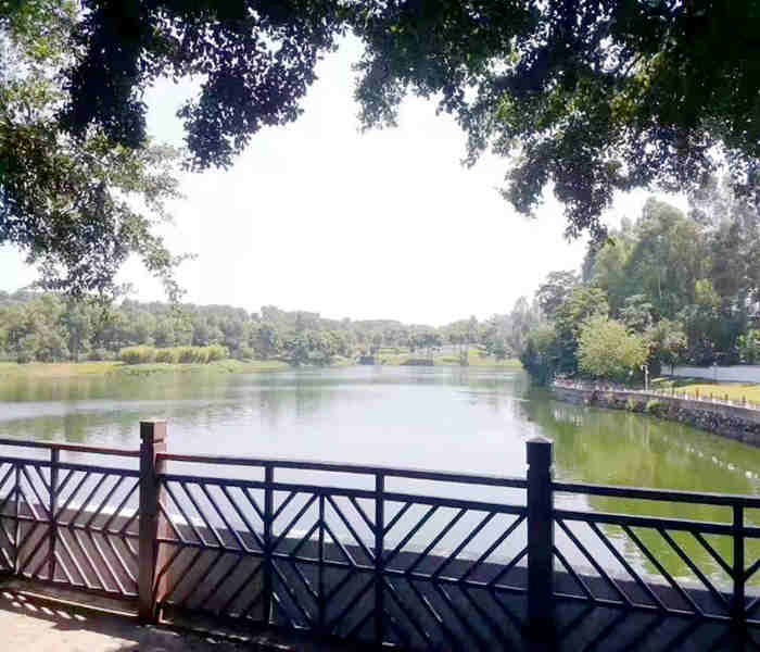 石巖料坑小產(chǎn)權房-南光大廈