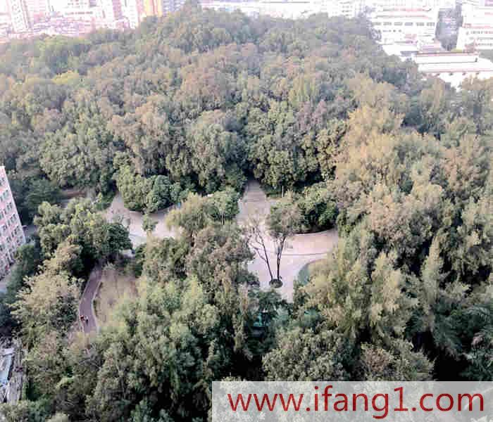 深圳寶安沙井小產權房信息網-綠林山景花園