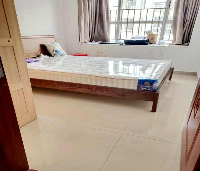 南山西麗村委小產權房