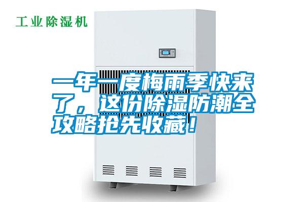 一年一度梅雨季快來了，這份除濕防潮全攻略搶先收藏！