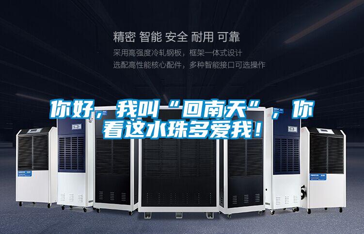 你好，我叫“回南天”，你看這水珠多愛我！