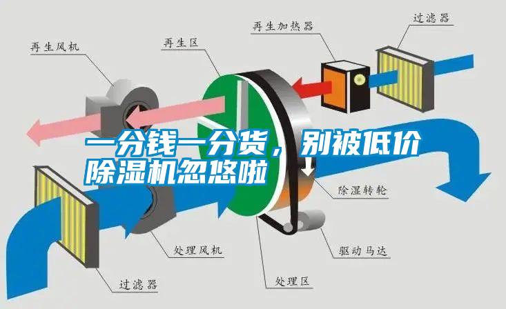 一分錢一分貨，別被低價除濕機忽悠啦