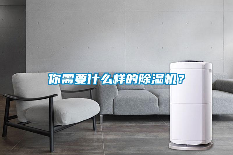 你需要什么樣的除濕機？