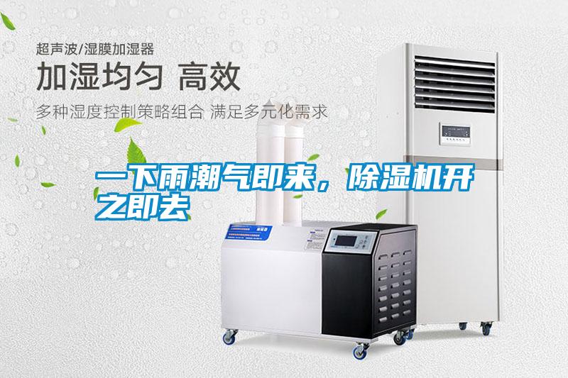 一下雨潮氣即來，除濕機開之即去