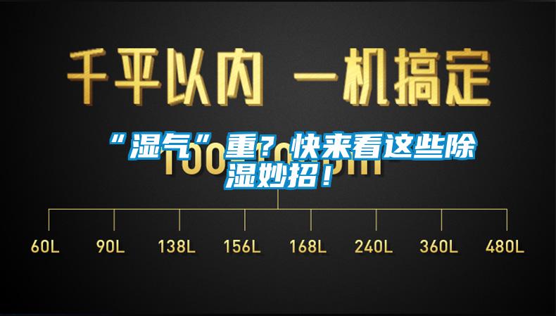 “濕氣”重？快來看這些除濕妙招！