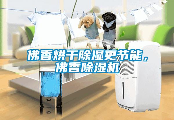 佛香烘干除濕更節(jié)能，佛香除濕機(jī)
