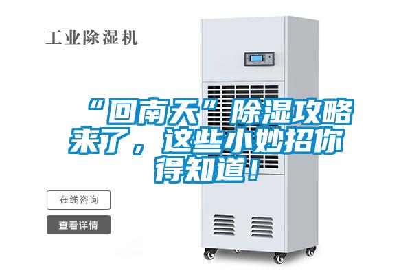 “回南天”除濕攻略來了，這些小妙招你得知道！