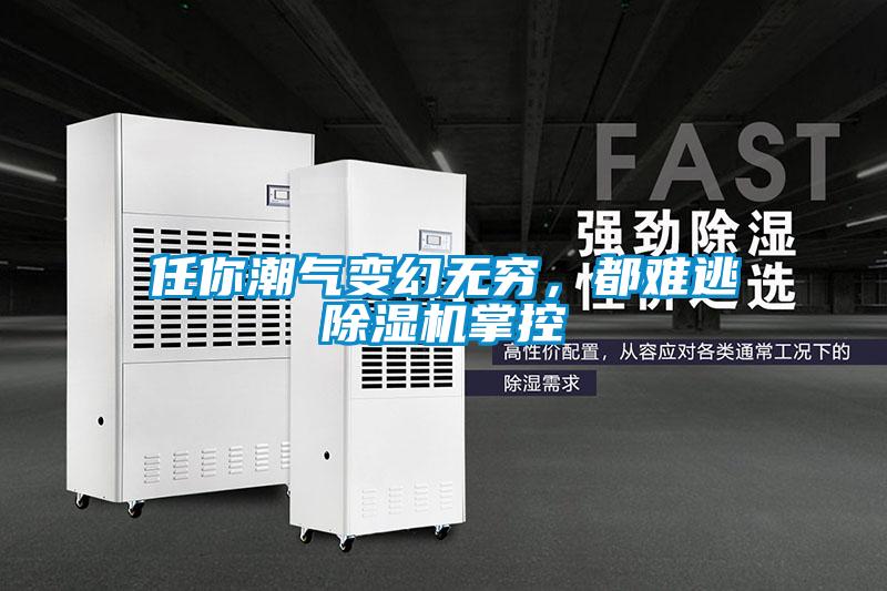 任你潮氣變幻無窮，都難逃除濕機掌控