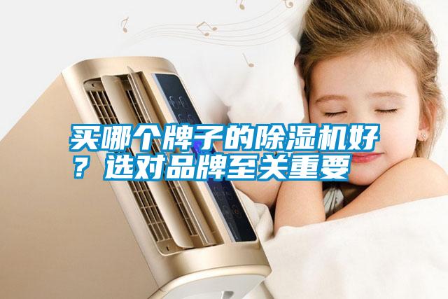 買哪個(gè)牌子的除濕機(jī)好？選對(duì)品牌至關(guān)重要