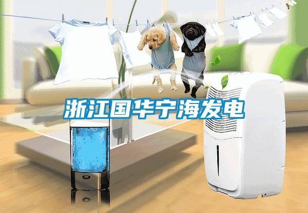 浙江國(guó)華寧海發(fā)電