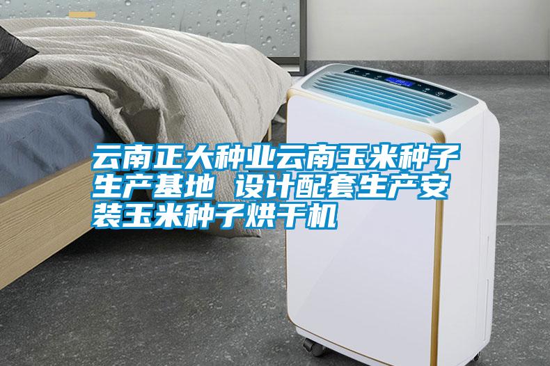 云南正大種業(yè)云南玉米種子生產(chǎn)基地 設計配套生產(chǎn)安裝玉米種子烘干機