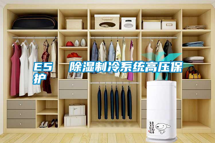 E5 除濕制冷系統(tǒng)高壓保護(hù)