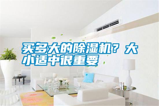 買多大的除濕機？大小適中很重要