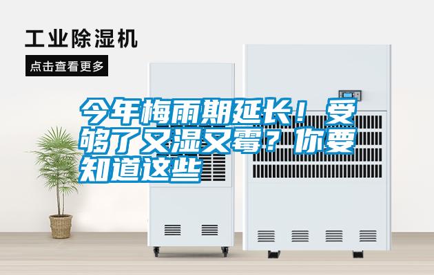 今年梅雨期延長！受夠了又濕又霉？你要知道這些