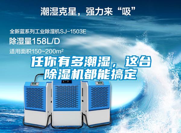 任你有多潮濕，這臺(tái)除濕機(jī)都能搞定