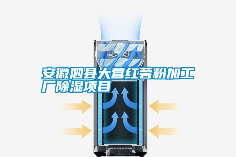 安徽泗縣大營紅薯粉加工廠除濕項(xiàng)目