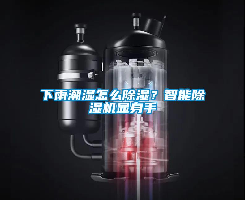 下雨潮濕怎么除濕？智能除濕機(jī)顯身手
