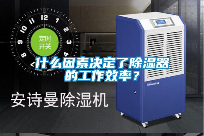 什么因素決定了除濕器的工作效率？