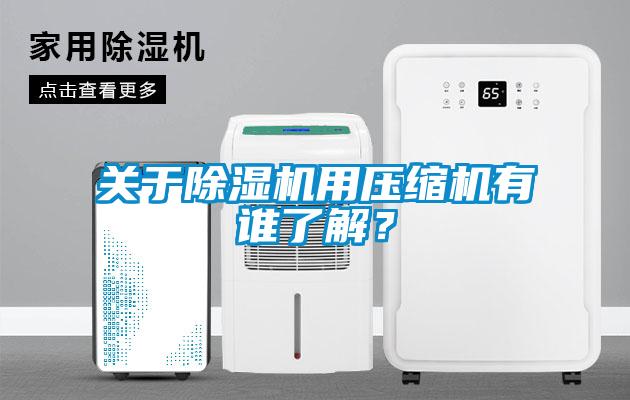 關(guān)于除濕機用壓縮機有誰了解？