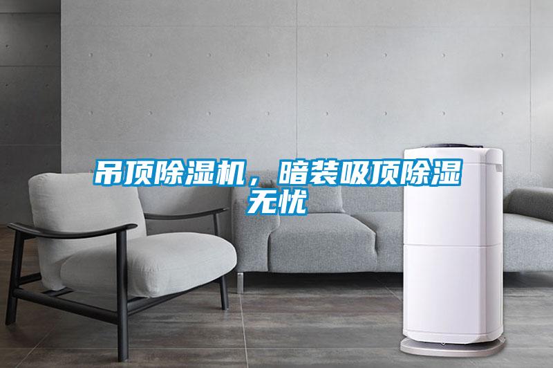 吊頂除濕機，暗裝吸頂除濕無憂