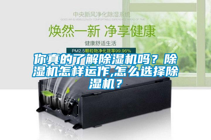 你真的了解除濕機(jī)嗎？除濕機(jī)怎樣運(yùn)作,怎么選擇除濕機(jī)？