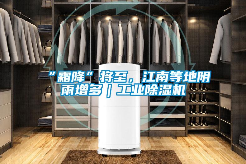“霜降”將至，江南等地陰雨增多｜工業(yè)除濕機(jī)