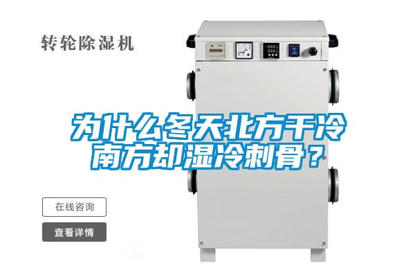 為什么冬天北方干冷南方卻濕冷刺骨？