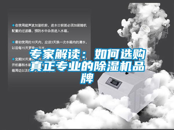 專家解讀：如何選購(gòu)真正專業(yè)的除濕機(jī)品牌