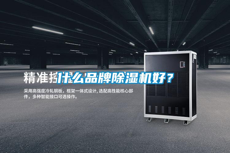 什么品牌除濕機好？