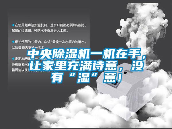 中央除濕機(jī)一機(jī)在手，讓家里充滿詩(shī)意，沒有“濕”意！