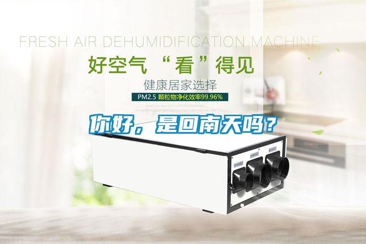 你好，是回南天嗎？