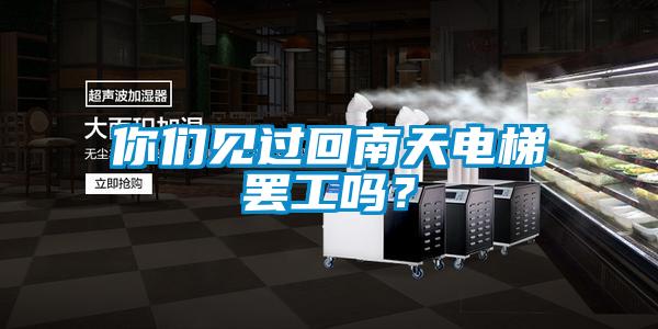你們見過回南天電梯罷工嗎？