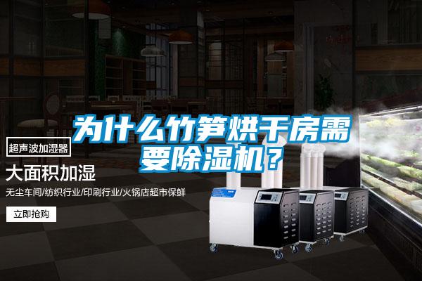 為什么竹筍烘干房需要除濕機(jī)？