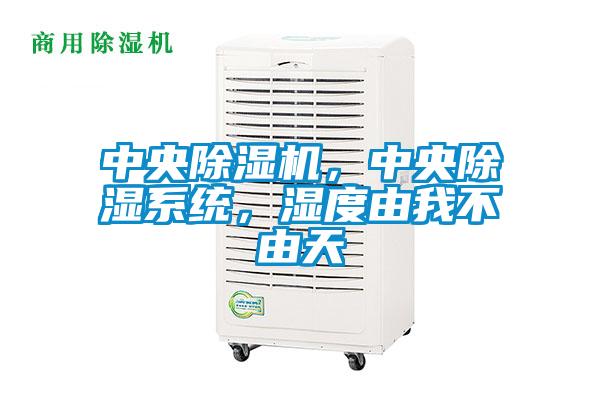 中央除濕機(jī)，中央除濕系統(tǒng)，濕度由我不由天