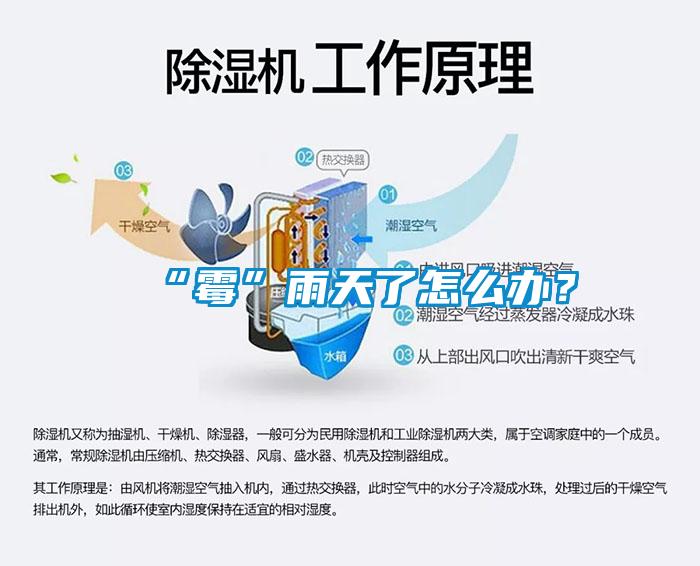 “霉”雨天了怎么辦？