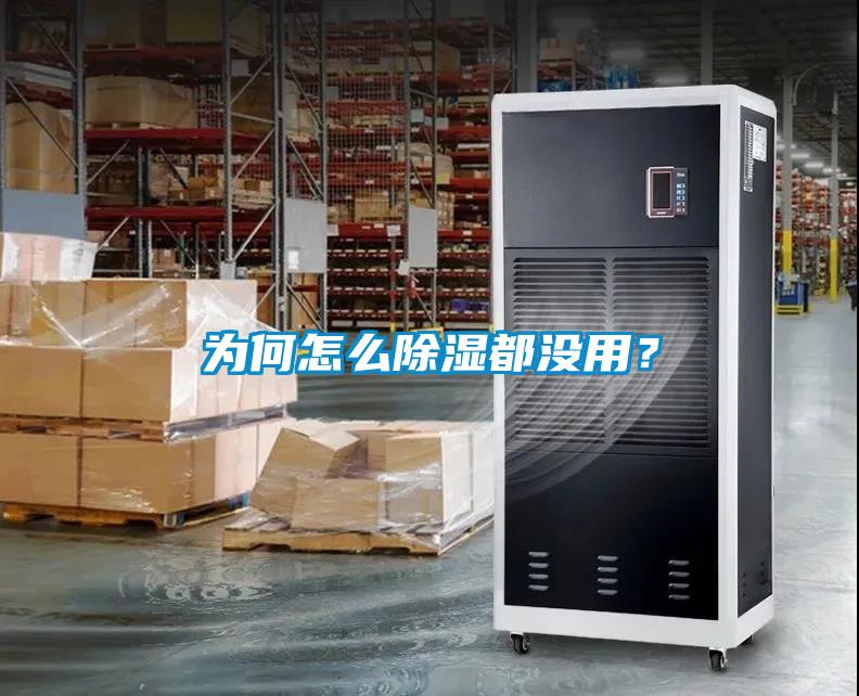 為何怎么除濕都沒(méi)用？