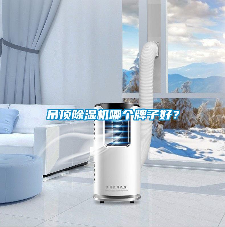 吊頂除濕機哪個牌子好？