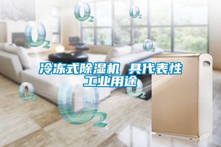 冷凍式除濕機 具代表性工業(yè)用途