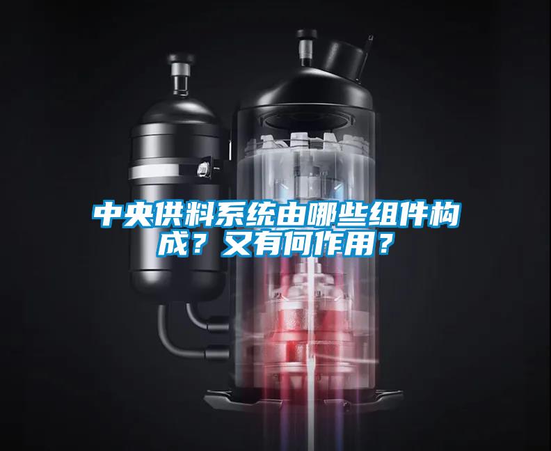 中央供料系統(tǒng)由哪些組件構(gòu)成？又有何作用？