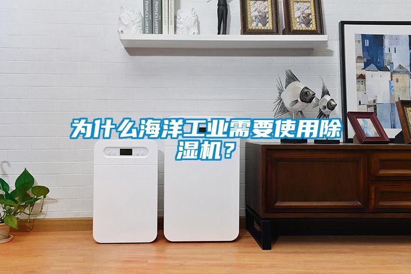 為什么海洋工業(yè)需要使用除濕機(jī)？