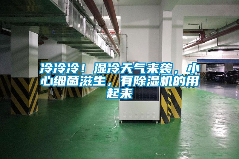 冷冷冷！濕冷天氣來襲，小心細菌滋生，有除濕機的用起來