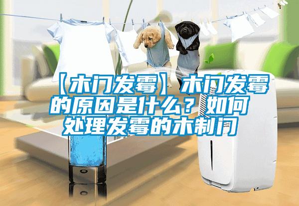 【木門發(fā)霉】木門發(fā)霉的原因是什么？如何處理發(fā)霉的木制門