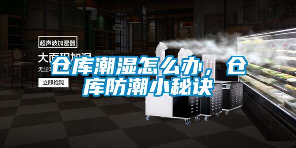 倉庫潮濕怎么辦，倉庫防潮小秘訣