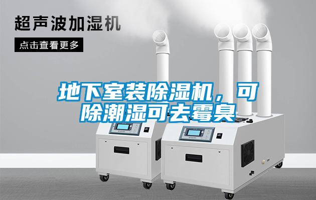 地下室裝除濕機，可除潮濕可去霉臭