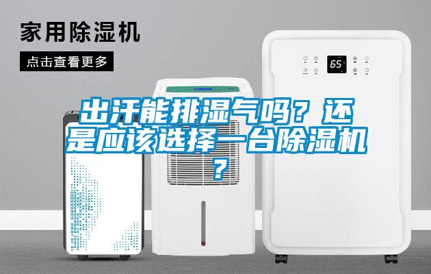 出汗能排濕氣嗎？還是應該選擇一臺除濕機？