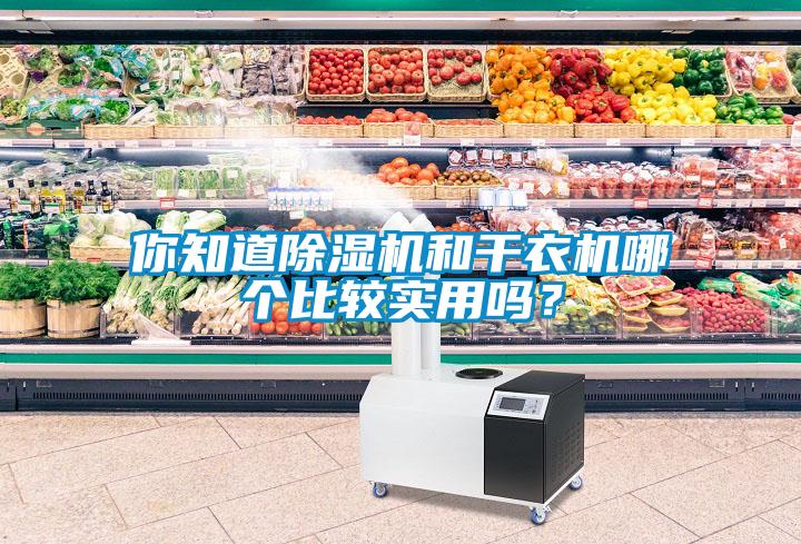 你知道除濕機和干衣機哪個比較實用嗎？