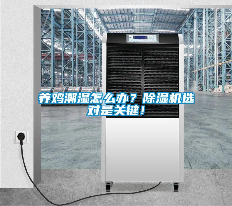 養(yǎng)雞潮濕怎么辦？除濕機(jī)選對(duì)是關(guān)鍵！